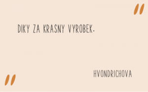 recenze_fler_26