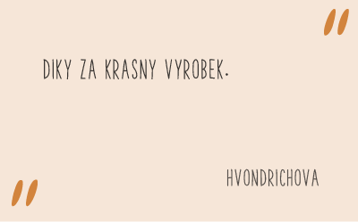 recenze_fler_26