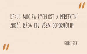 recenze_fler_27