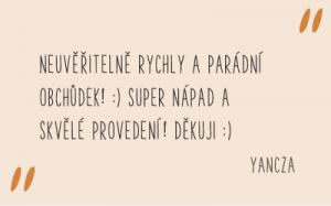 recenze_fler_7