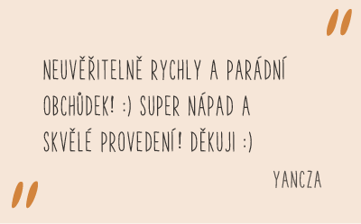 recenze_fler_7